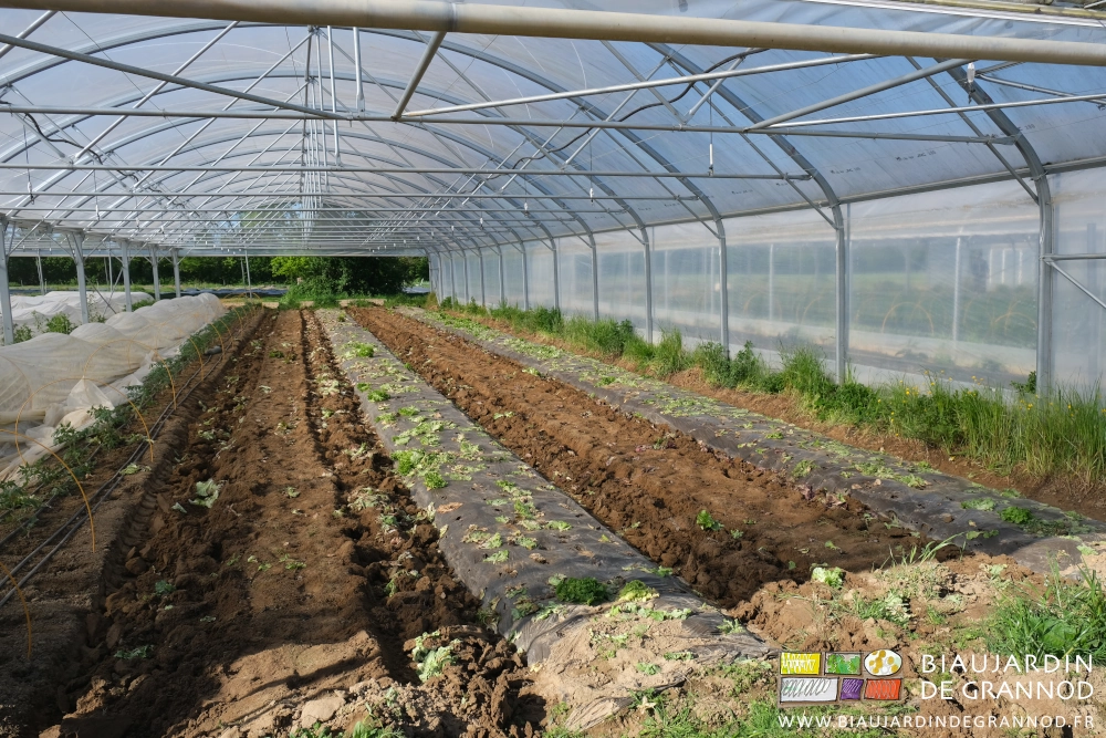 photo de planches filmées entourées de planches dont le film a été soulevé puis enlevé