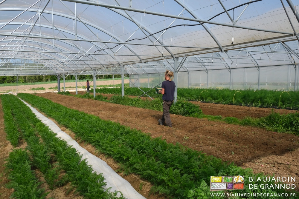 photo de Valentin avec la "moulinette" qui répartit les graines à la volée sur les planches travaillées