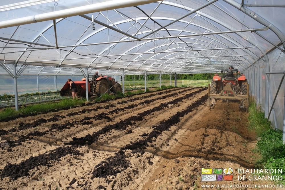 photo de l'épandage manuel du fumier de la benne sur les planches dans un des bi-tunnels