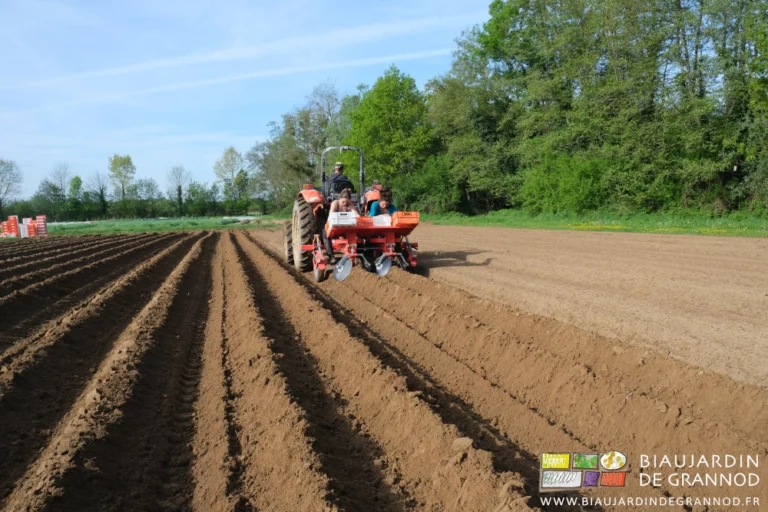 photo de plantation en cours, belles buttes montées, voisinage de nos hautes haies bocagères