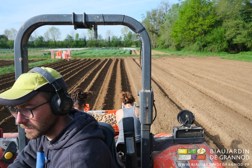 photo depuis le tracteur, Matthieu au volant, vue sur la planteuse avec Alice et Morgane