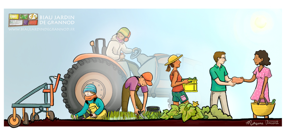 dessin de 6 personnes illustrant la progression des cultures et des saisons pour faire un panier