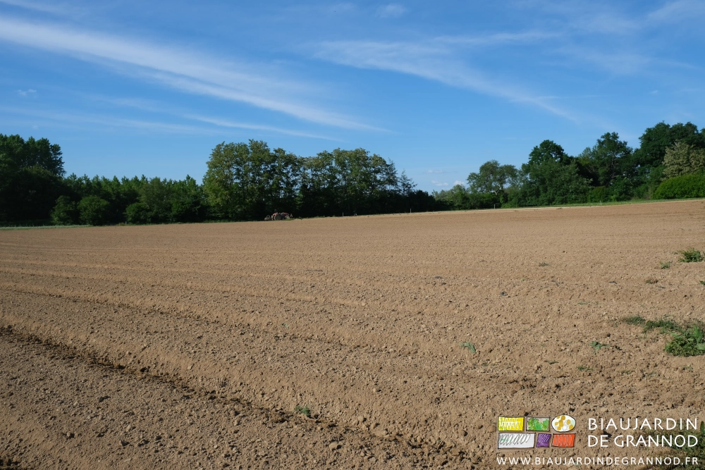 photo d''ensemble de la grande parcelle en cours de travail au vibroplanche