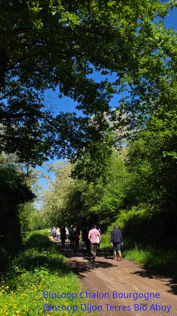 photo de la petite troupe sur le chemin bordé de haies bocagères desservant la 2ème parcelle visitée