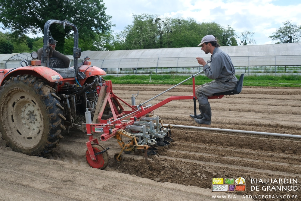 photo de Vivien assis et guidant la bineuse avec le volant Matthieu avec celui du tracteur