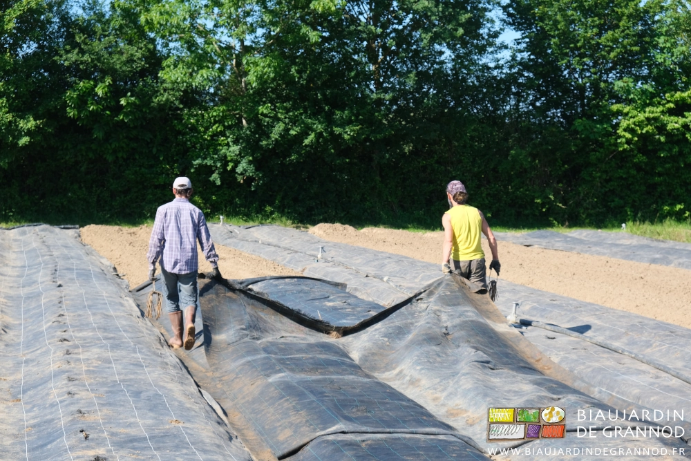 photo de Vivien et Myke, un angle de la toile d'une main, l'autre avec les agrafes métal