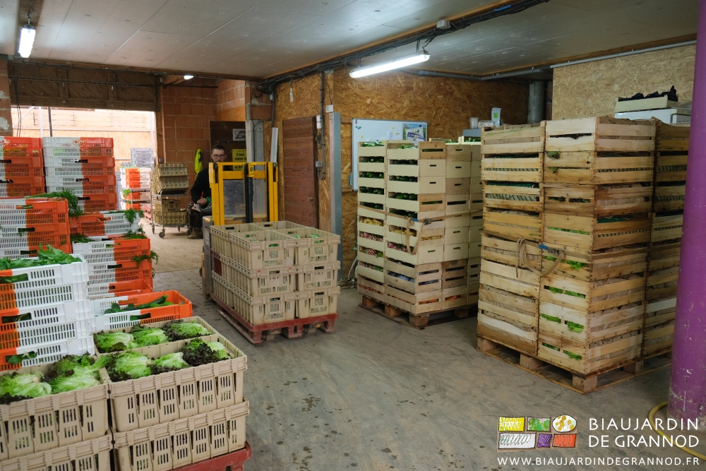 photo de palettes de légumes en caisse bois en cours de préparation avant envoi