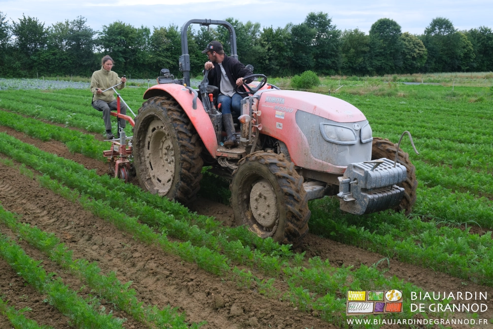 photo de Émilie guidant sur la bineuse de précision tirée par Matthieu au tracteur