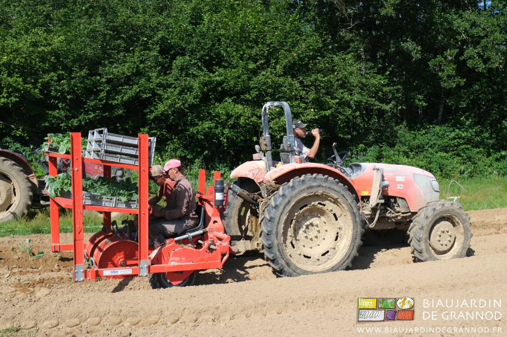 photo de Matthieu buvant au volant du tracteur qui tire la planteuse avec 2 jardiniers