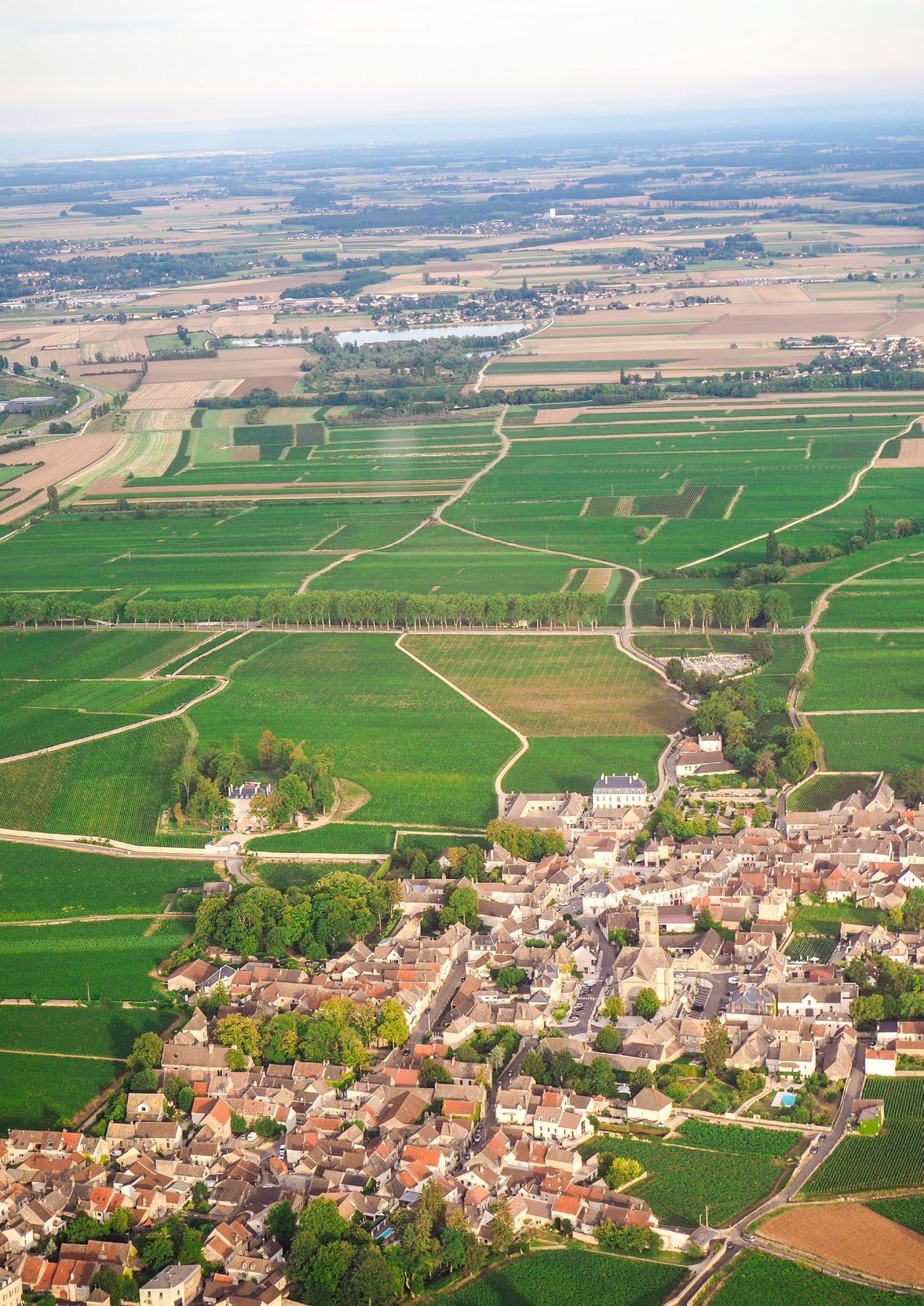 photo dossier fondation nature et homme grandes parcelles de culture entre 2 bourg ce dernier boisé, ainsi que la départementale&nbsp;!
