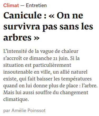 titre page accueil Mediapart "canicule on ne survivra pas sans les arbres"