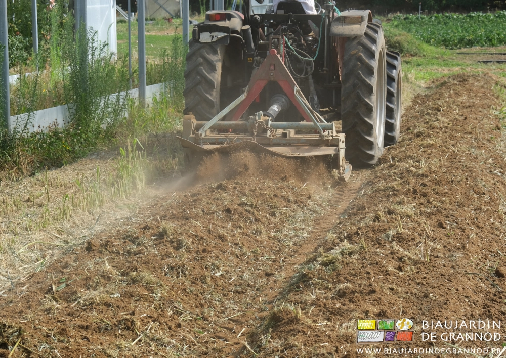photo rotovator détruisant à faible profondeur le sorgho broyé