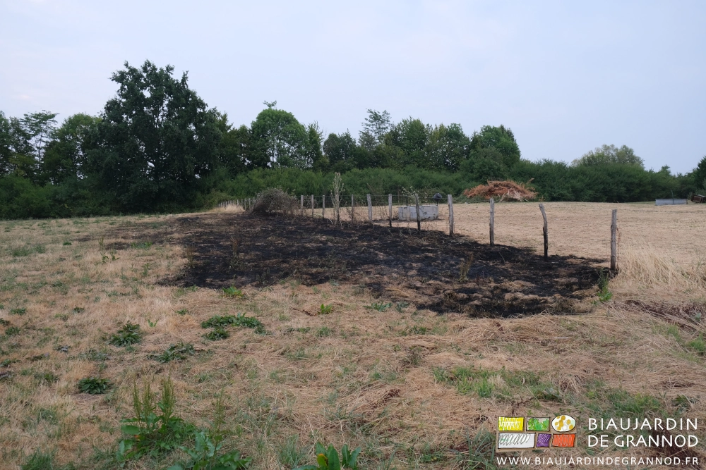 photo de pré partiellement brûlé depuis le voisinage d'une place de brûlage de végétaux et déchets divers en plein-air