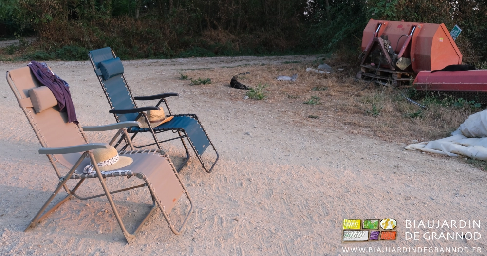 photo de 2 chapeaux sur 2 chaises longues et 3 chats couchés juste à côté