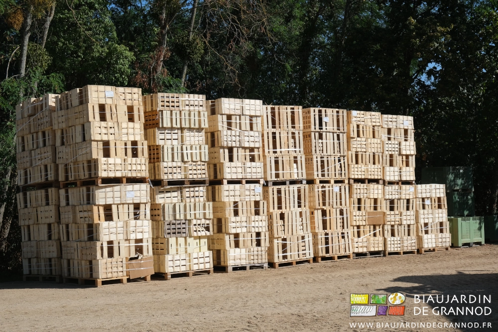photo des palettes de caisses bois de s divers formats empilées dans la cour après livraison