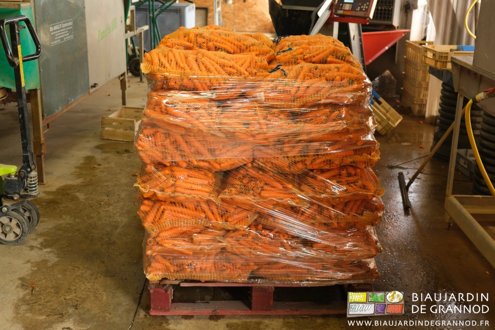 photo de filets de carotte lavées empilés sur palette et filmés près à l'expédition pour BioÀPro