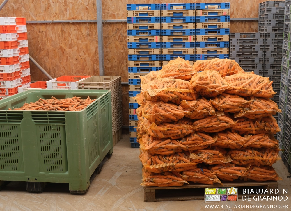 photo dans le bâtiment chapelle d'un palox de carotte venant du jardin à côté d'une palette de filets de carottes lavées
