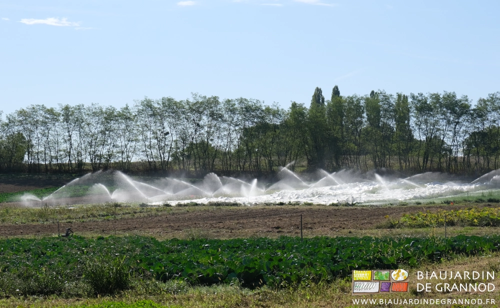 photo de plusieurs carré