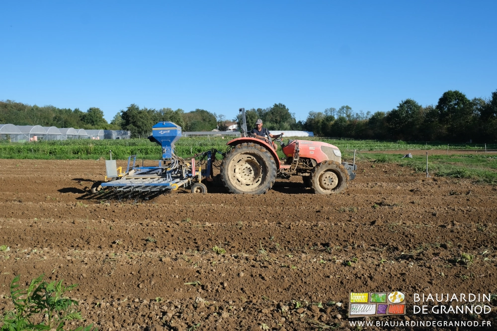 photo semis engrais vert avec la herse étrille, le jardin en enfilade en arrière plan