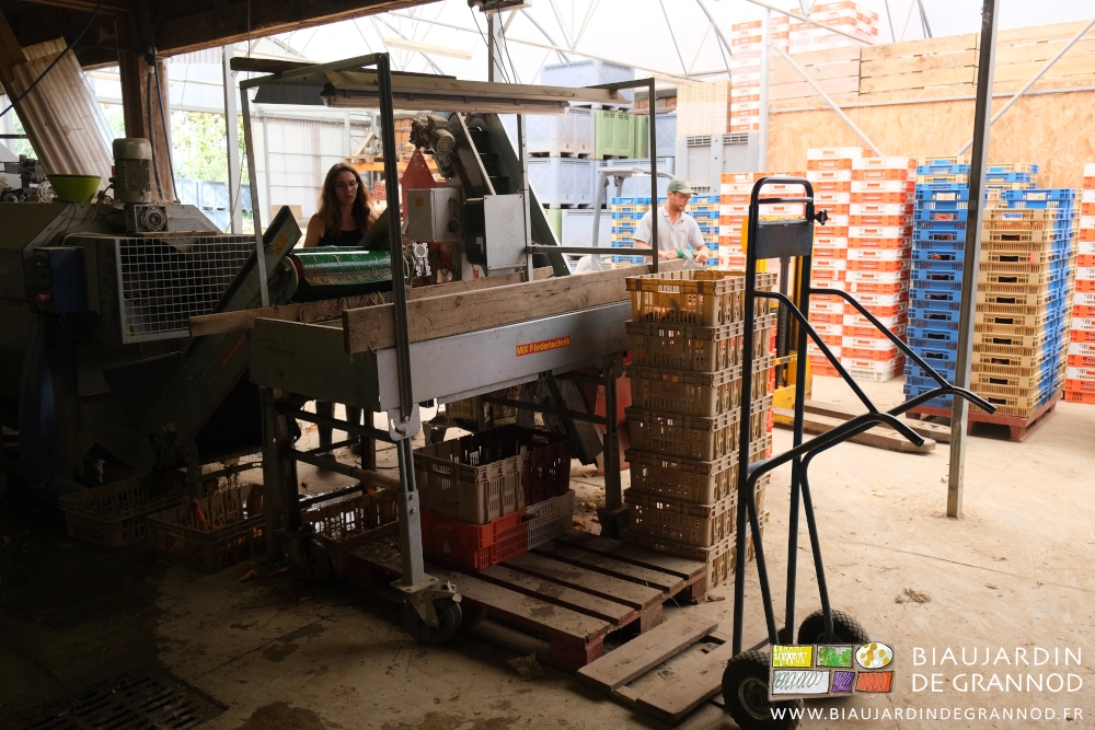photo de la palette installée devant la table de tri pour avoir assez de hauteur au travail