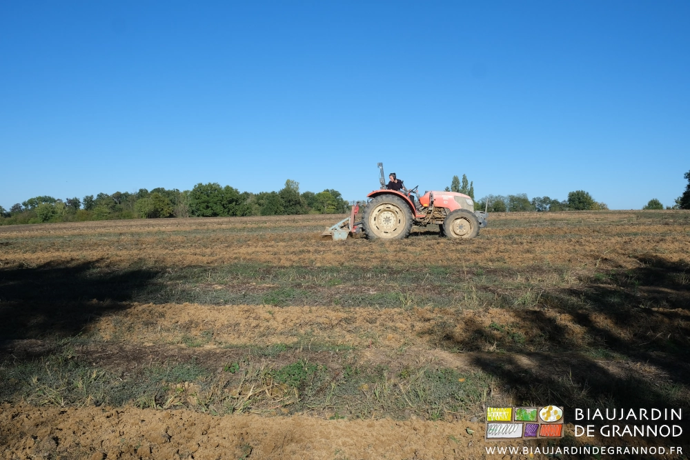 photo de Kim déchaumant les planches d'une parcelle de 3 hectaresDscf8793 26l