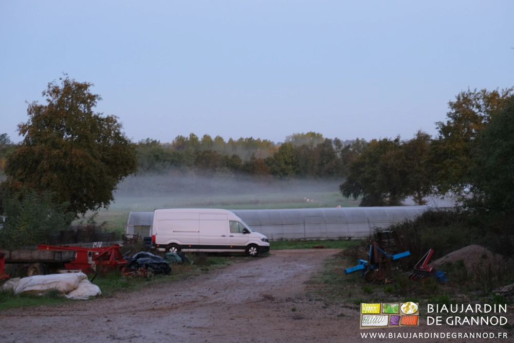 photo d'ensemble du jardin couvert de brumes dont dépassent largement les arbres de haut jet de nos haies.