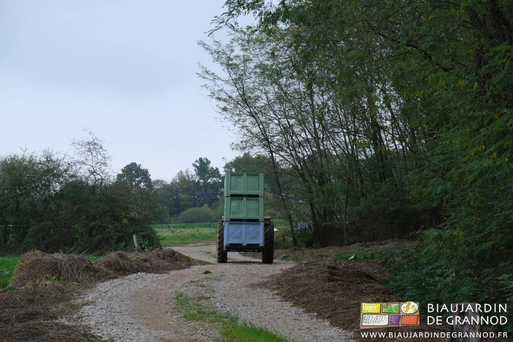 photo d'une pile de 3 palox vert amenés au jardin avec le mât lève-palette du tracteur