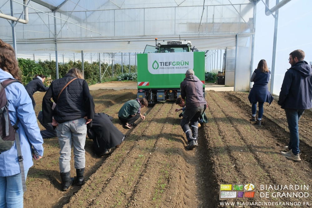 photo du groupe suivant la machine au travail sur les planches de carotte sous tunnel